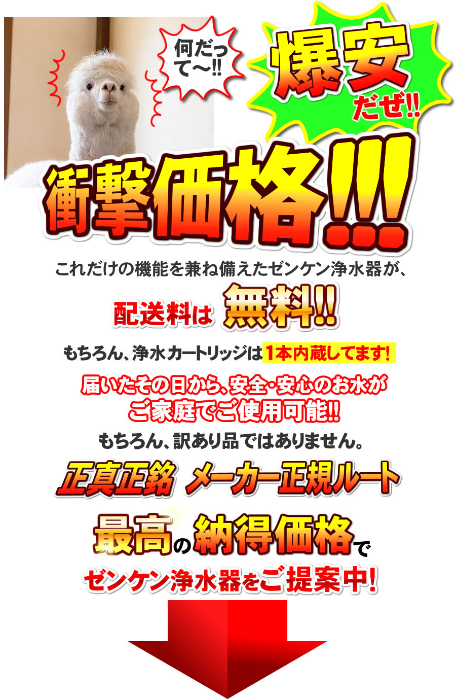 ゼンケン アクアセンチュリーステンレスMFH-110を衝撃価格で