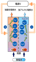 強酸性電解水の性状