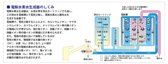 電解水素水生成器の仕組み